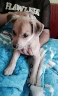 Marley