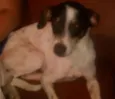 SNOOP