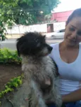 Menina