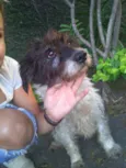 Menina