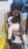 Piter