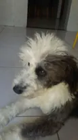 Piter