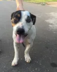 Nilo