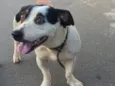 Nilo