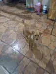 Nina