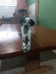 xita