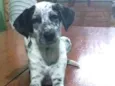 xita