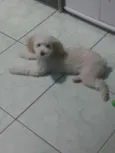 Charles