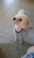 Charles