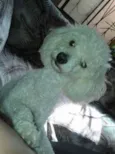 Charles