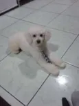 Charles