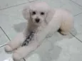 Charles