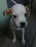 Julie