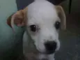 Julie