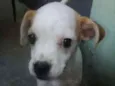 Julie