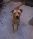 TOTÓ