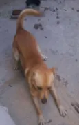 TOTÓ