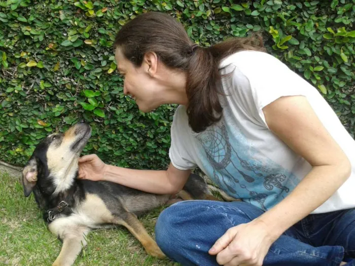 Cachorro ra a SRD idade 2 anos nome Lobinho Confiante