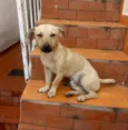 Bob