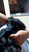 Cacilda