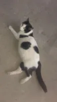 Mel
