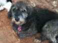 Julie
