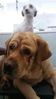 Lucky