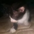 Ainda não definido