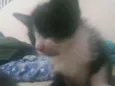 Ainda não definido
