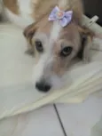 sem nome 