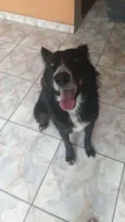 Pretinho