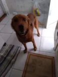 Duke
