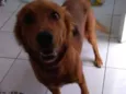 Duke