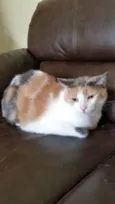 Miguelita