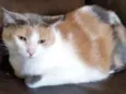Miguelita