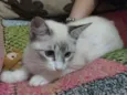 Savannah