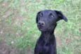 Lupita