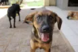 Sam