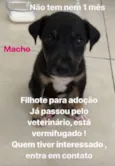 Não tem nome