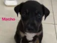 Não tem nome