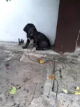 Não tem