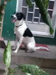 bob
