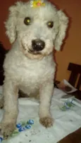 Nina