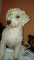 Nina