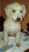 Nina