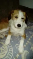 Mel
