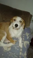 Mel