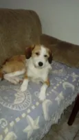 Mel