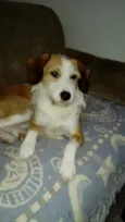 Mel