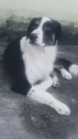 Lord